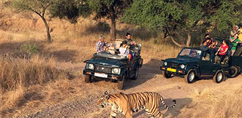 CORBETT  CAB  TOUR 